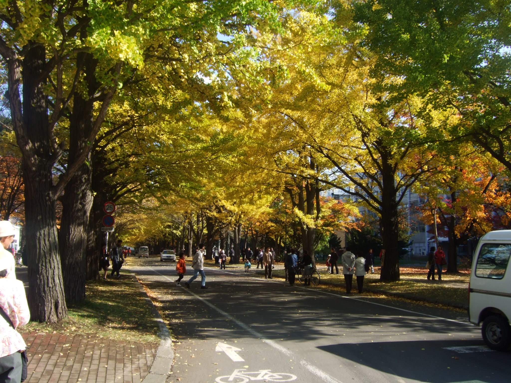 �����傤����