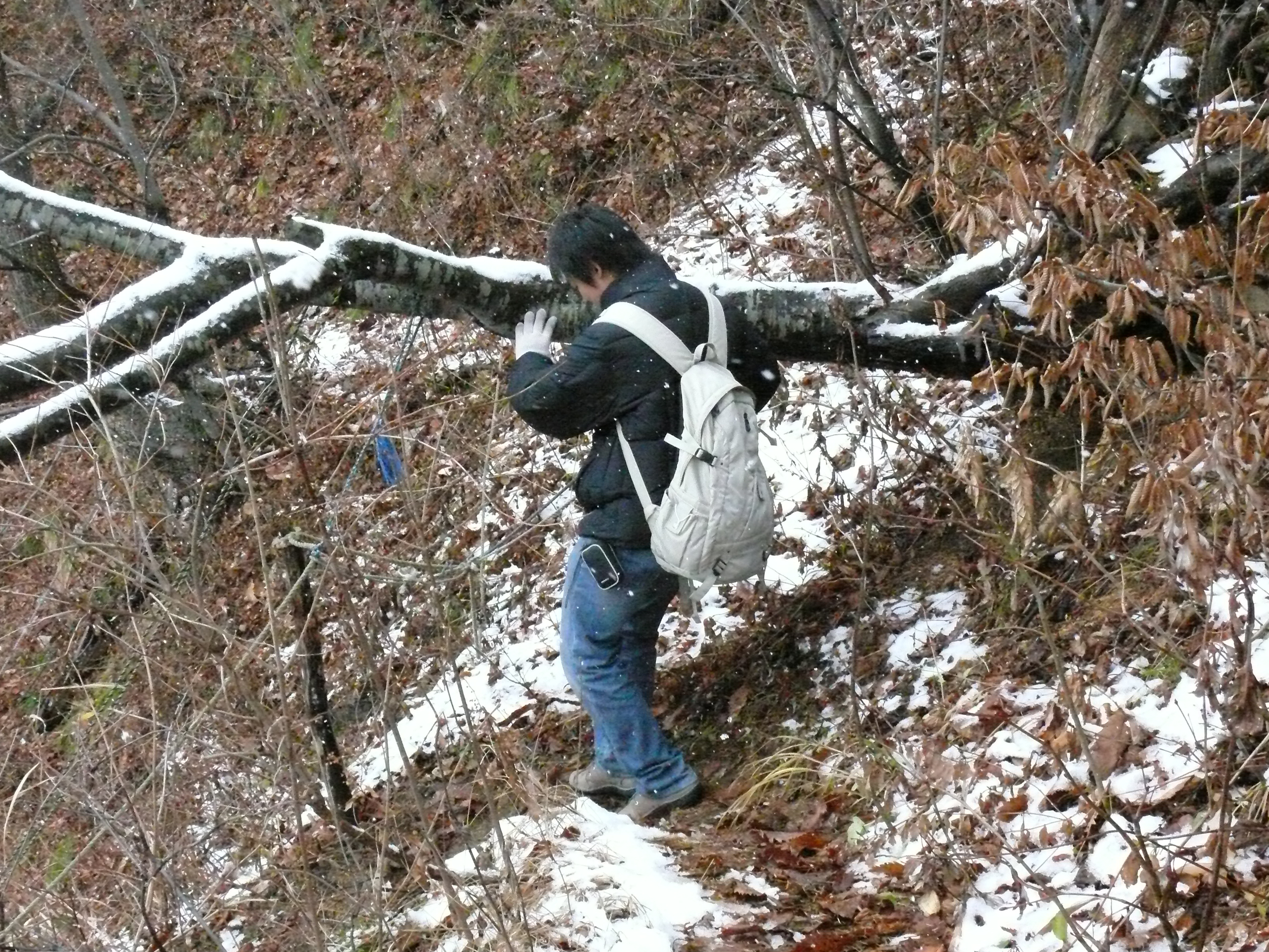 ��������